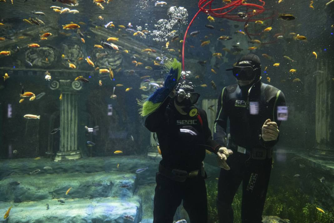 Sanayi dalgıçları vatoz ve köpekbalıklarını elleriyle besliyorlar. Onlar en zor mesleği yapıyor! - Resim: 9